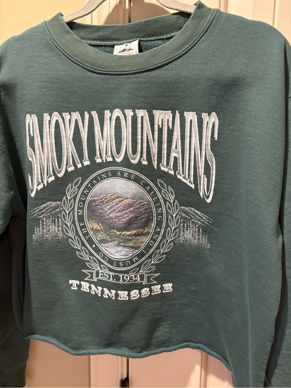 Smoky Mountains TN Cropped Crewneck - Picture 2 of 4